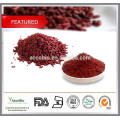 Arroz de levadura roja 100% natural en polvo 5% Monacolin K, Lovastain